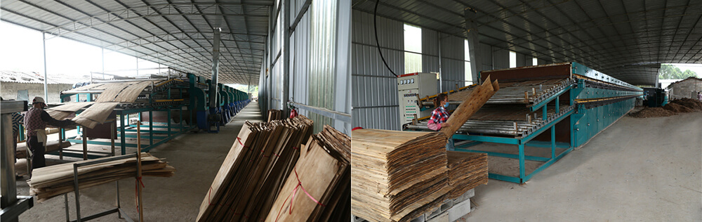 旋切單板秋葵视频污在线观看設備