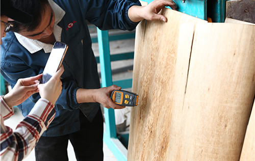 柳州高效單層單板秋葵视频污在线观看多少錢