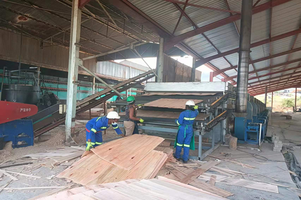 楊木單板秋葵成人APP下载